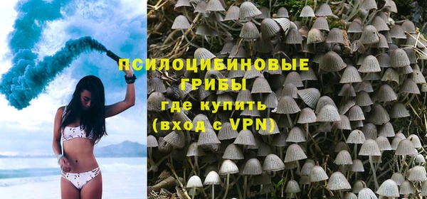 гидра Вяземский