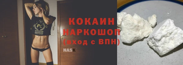 гидра Вяземский