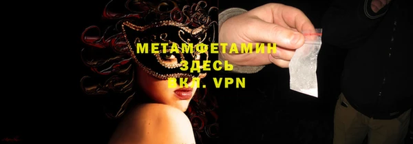 гидра Вяземский