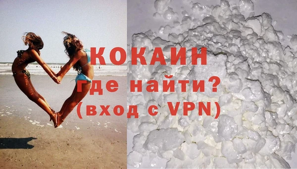 гидра Вяземский