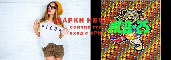 дурь Сясьстрой