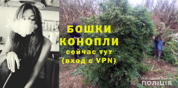 гидропоника Строитель