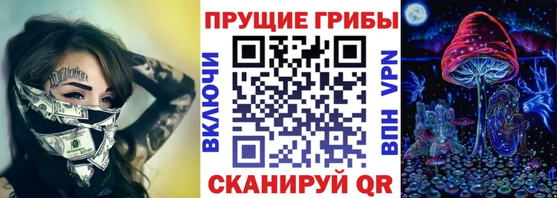 закладки  Гаврилов Посад  Псилоцибиновые грибы Psilocybine cubensis 
