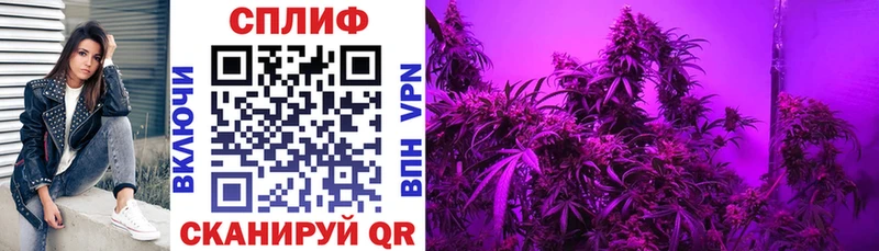 Канабис Bruce Banner  Гаврилов Посад 